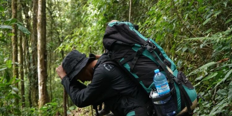 Psikolog: Toxic Masculinity Bisa Memicu Pria Terjerumus pada Bunuh Diri