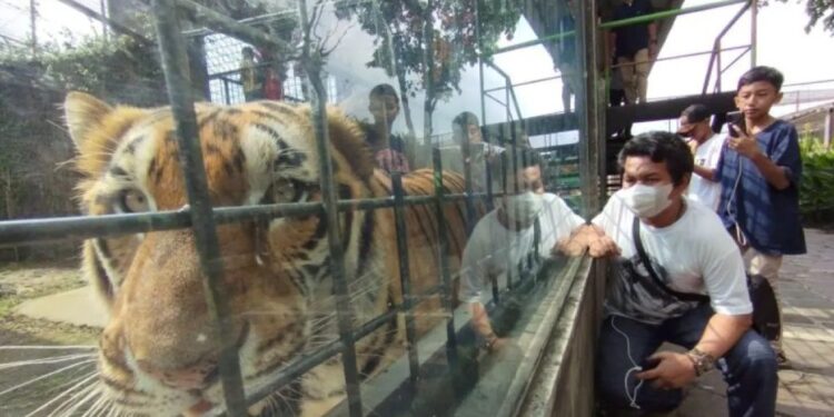 Garut Persiapkan Kenyamanan Wisatawan Menjelang Libur Akhir Tahun