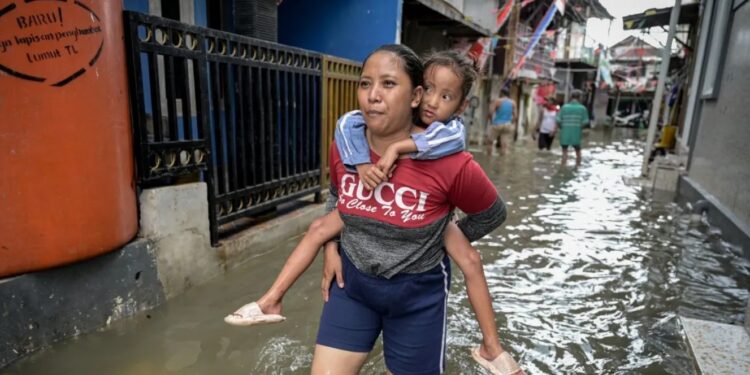 Banjir Rob Masih Mencakup Enam RT di Marunda dan Pluit, Jakarta Utara