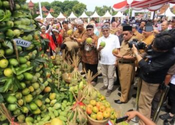 Pemprov Jabar Dukung Promosi Mangga Unggulan Indramayu Melalui Festival Mangga 2024