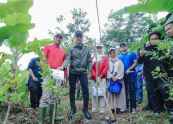 Pemkot Bandung Bersama 50 Perguruan Tinggi Tanam 717 Pohon di KBU