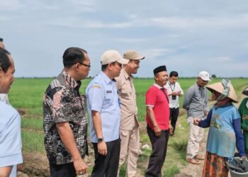 Pemkab Tangerang dan Pemkab Cirebon Jalin Kerja Sama untuk Stabilkan Harga Bawang