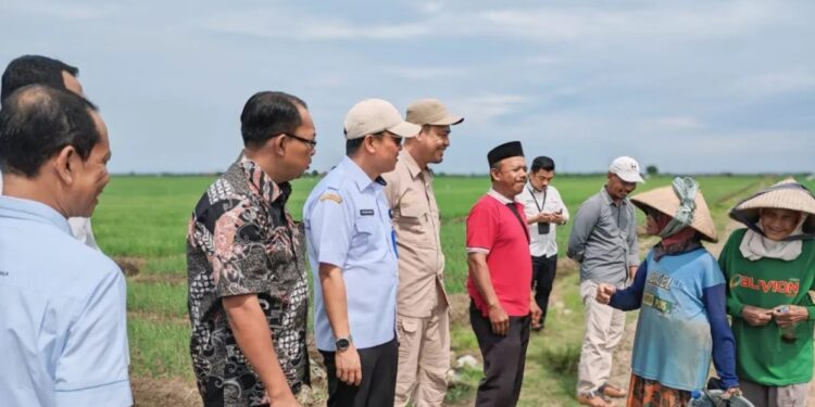Pemkab Tangerang dan Pemkab Cirebon Jalin Kerja Sama untuk Stabilkan Harga Bawang