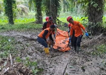 Basarnas Resmi Tutup Operasi Pencarian Korban Longsor di Deli Serdang