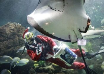 34 Ribu Pengunjung Meramaikan Ancol Taman Impian Selama Libur Natal