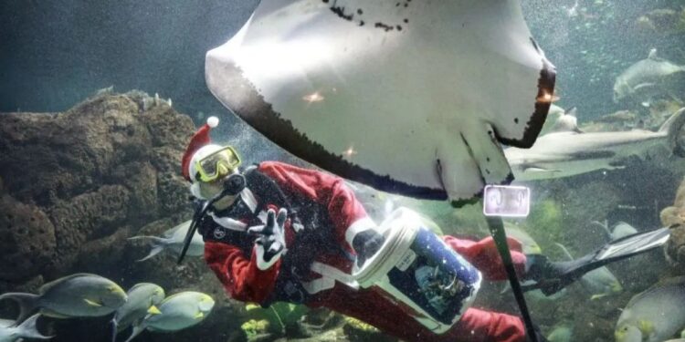 34 Ribu Pengunjung Meramaikan Ancol Taman Impian Selama Libur Natal