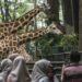Penjaga Satwa di Ragunan Berikan Edukasi Menyambut Nataru
