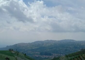 Pemkab Majalengka Minta Petani Jual 20 Persen Hasil Bawang di Pasar Lokal