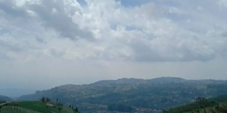 Pemkab Majalengka Minta Petani Jual 20 Persen Hasil Bawang di Pasar Lokal