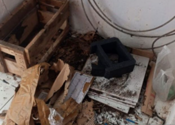 Alat Pendeteksi Gempa dan Tsunami BMKG di Sidrap Dicuri, Stasiun Lumpuh