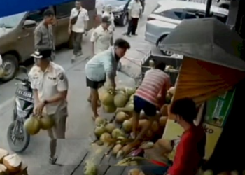 Satpol PP Dikritik Netizen Usai Terekam CCTV Ambil Kelapa Pedagang saat Penertiban