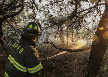 Kebakaran Hutan Melanda New York, Pemerintah Sempat Tetapkan Status Darurat