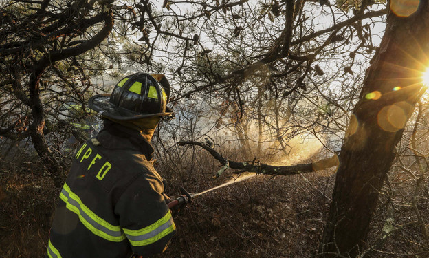 Kebakaran Hutan Melanda New York, Pemerintah Sempat Tetapkan Status Darurat