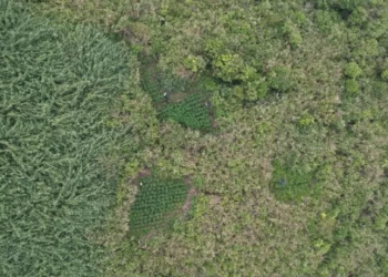 Tarif Rp 2 Juta untuk Drone di Bromo Ungkap Temuan Mengejutkan