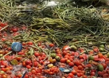 Harga Sayur Merosot, Petani di Bengkulu Buang Hasil Panen sebagai Bentuk Protes