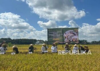 Lindungi Masa Depan Panen: Sultan HB X Dorong Petani