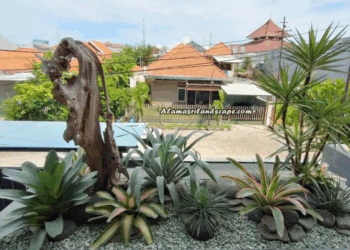 Cara Merawat Rumput Taman agar Tetap Hijau Sepanjang Tahun