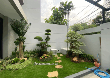 Perawatan Taman Rumah agar Tetap Hijau Sepanjang Tahun