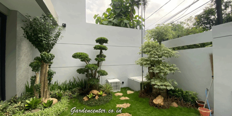 Perawatan Taman Rumah agar Tetap Hijau Sepanjang Tahun