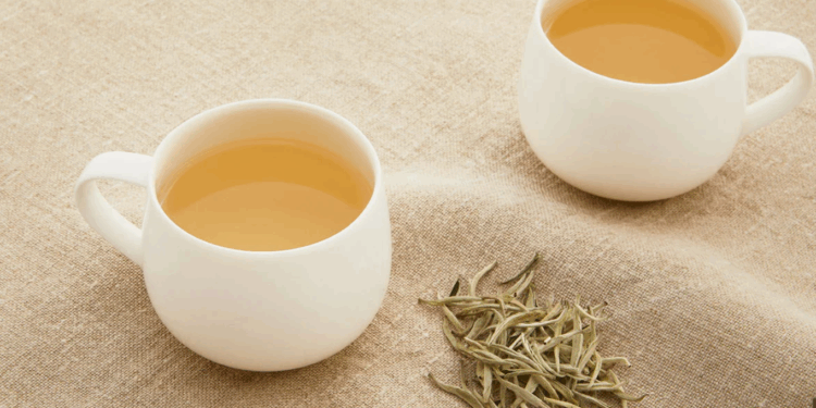 White Tea Sebagai Kekuatan Alami yang Tersembunyi dalam Secangkir Teh Lembut