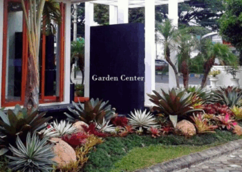 Manfaat Memiliki Taman di Rumah bagi Kesehatan dan Keseimbangan Hidup