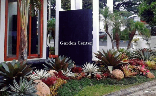 Manfaat Memiliki Taman di Rumah bagi Kesehatan dan Keseimbangan Hidup