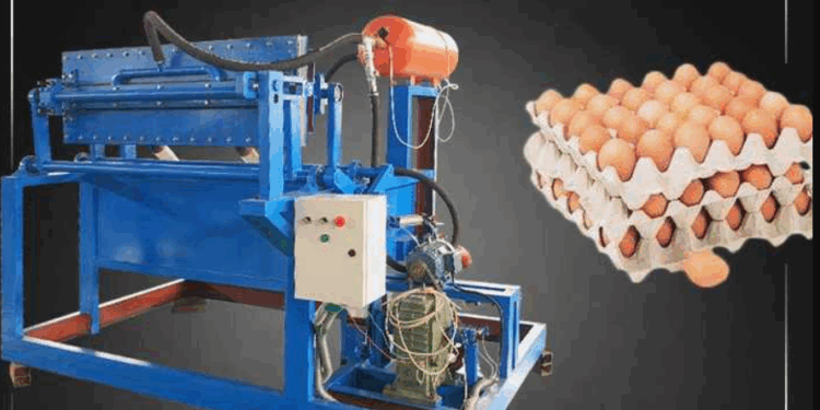 Ramai Dilirik Investor, Mesin Ini Ubah Sampah Kertas Jadi Ladang Cuan Baru